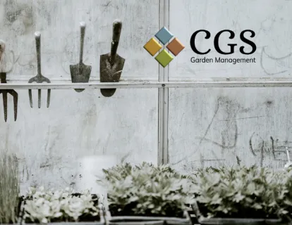 CGS image