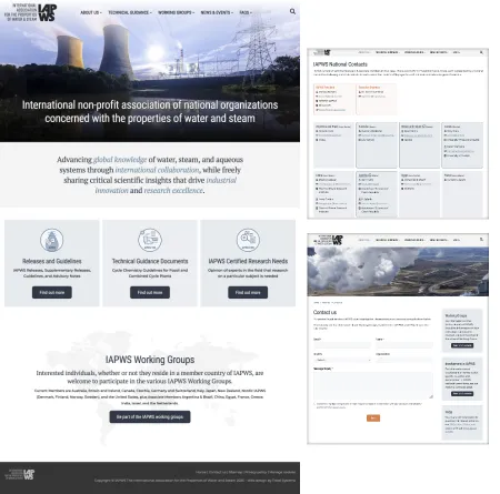 Cs IAPWS Webdesign