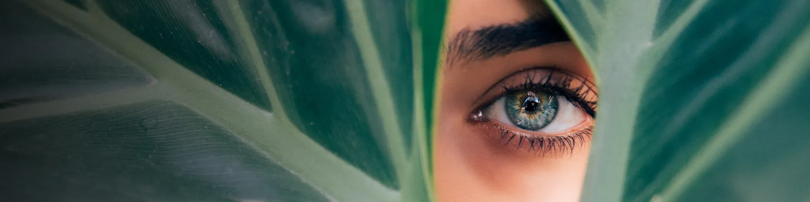 green eye big leaf with dark gradient v2