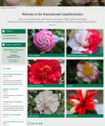 New design for International Camellia Society