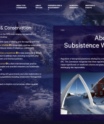 New site launched for the International Whaling Commission