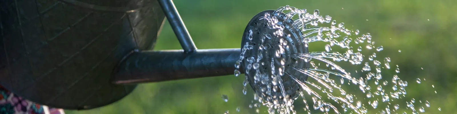 Watering can