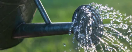 Watering can in garden